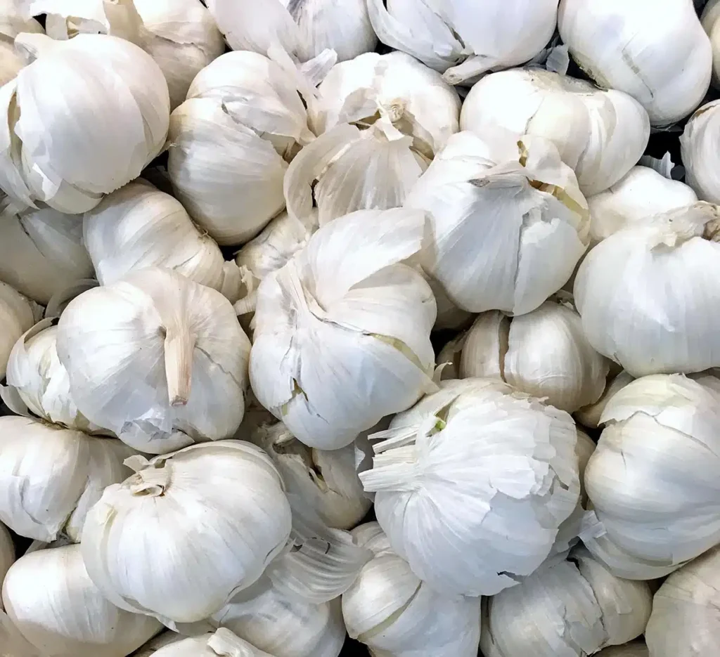 Queda na Produção de Alho no Brasil: Impactos das Importações e Desafios do Setor