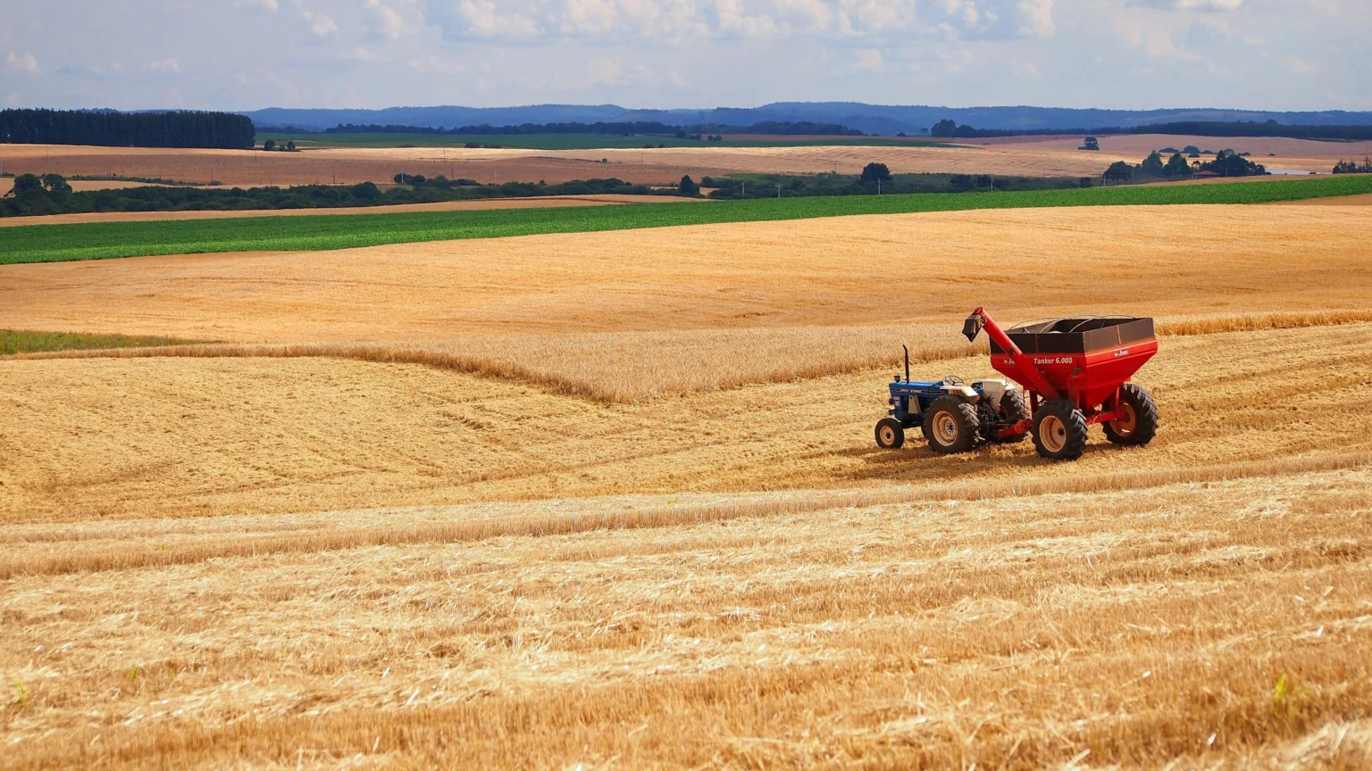 Ranking dos Principais Compradores do Agronegócio Brasileiro em 2026