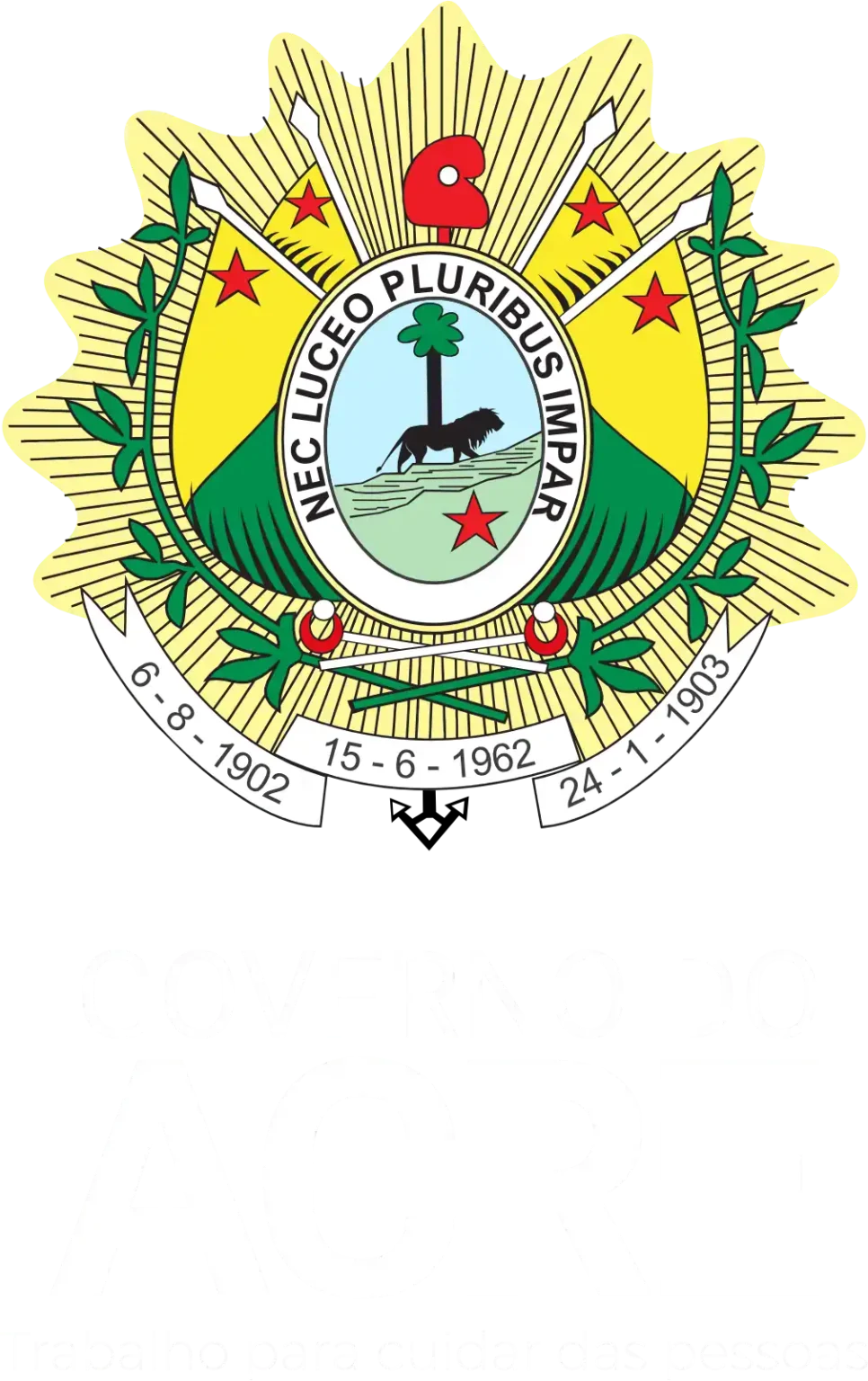 Saúde Itinerante no Acre: Ampliação de Acesso aos Serviços de Saúde