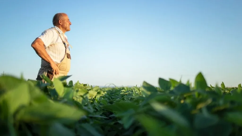 Indenizações do Seguro de Vida ao Produtor Rural Crescem Mais de 1.000% no Espírito Santo em 2026 Indenizações do Seguro de Vida ao Produtor Rural Crescem Mais de 1.000% no Espírito Santo em 2026