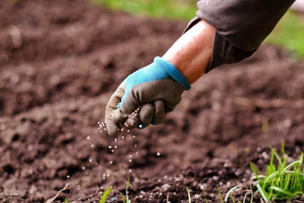 Aumento nos Preços de Fertilizantes Impacta o Agronegócio Brasileiro