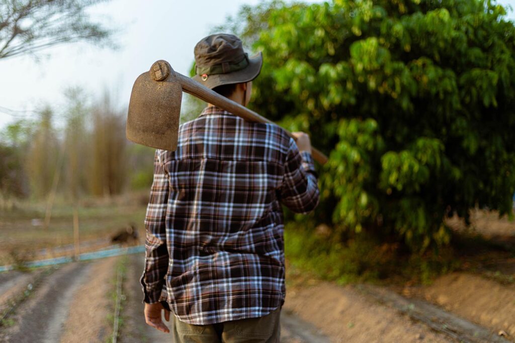 Crescimento do Agronegócio: Um Gigante na Criação de Empregos