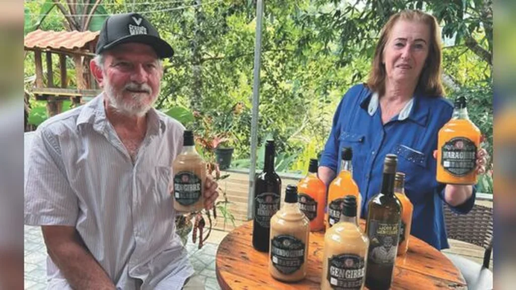 Gengibre impulsiona economia e agroturismo no Espírito Santo com crescimento robusto