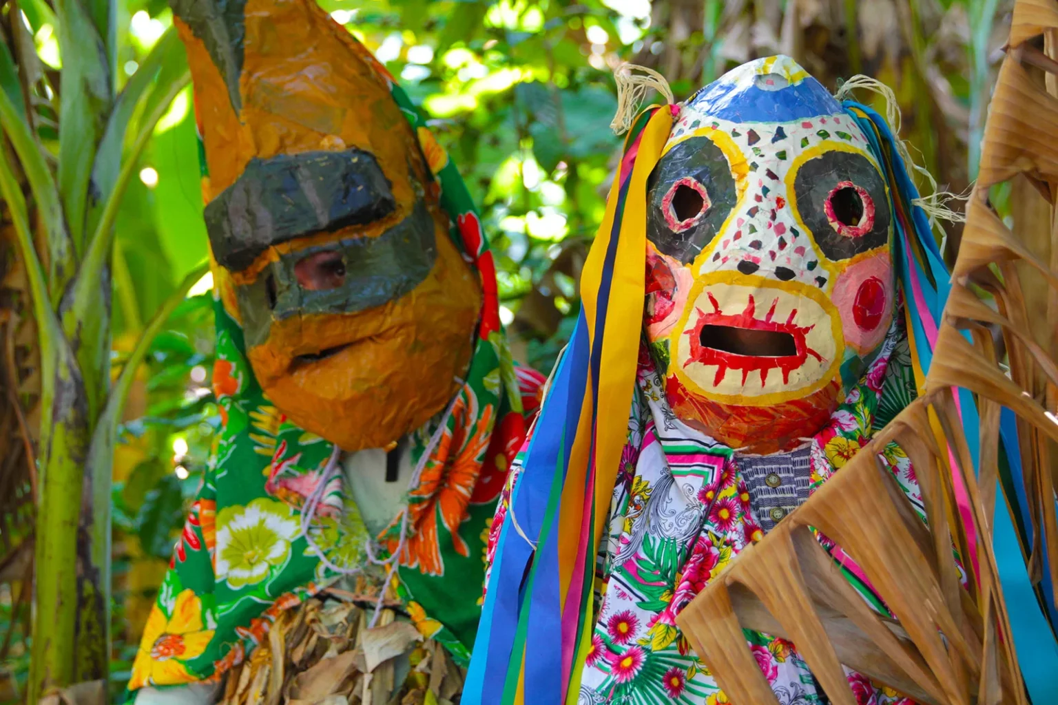 Roda D'Água: Cultura e Sabores da Tradicional Cariacica - ES