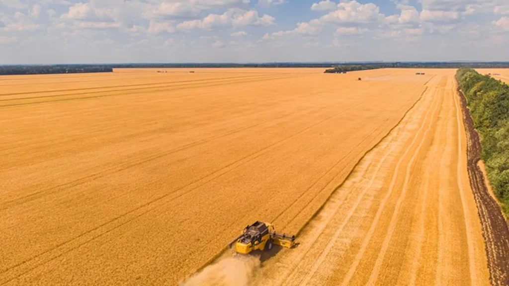 União Europeia adia lei sobre desmatamento e desafia agronegócio brasileiro