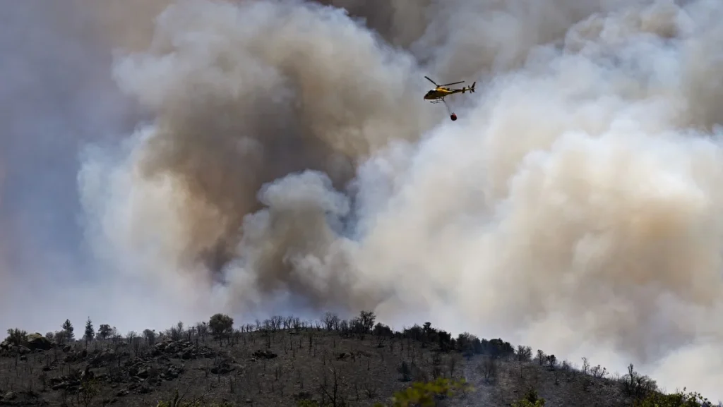 Incêndios na Europa destroem 17 mil hectares de florestas em meio a calor extremo